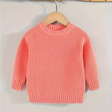 Keep Your Baby Warm And Stylish This Winter With A Knit Sweater Pullover Top!