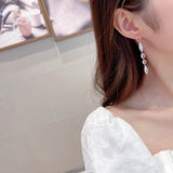 2025 S925 silver needle super fairy temperament light luxury high-end earrings trendy long modified face super flash zircon fringed earrings