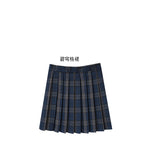 GREATNFB Regular Size in Stock Pleated Skirt JK Tartan Skirt Pleated Skirt Skirt Various Colors