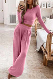 Greatnfb Solid Color Ribbed Crop Top Long Pants Set