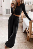 Greatnfb Solid Color Ribbed Crop Top Long Pants Set