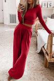 Greatnfb Solid Color Ribbed Crop Top Long Pants Set